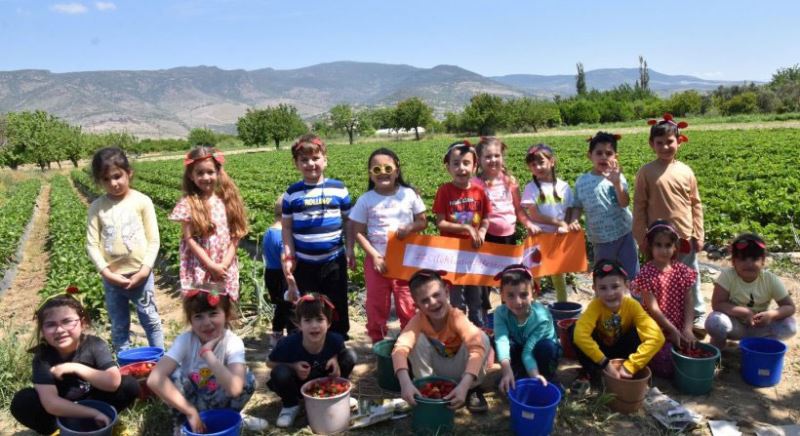 ÇOCUKLARDAN ÇILEK FESTIVALI DAVETI